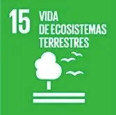 Vida de ecosistemas terrestres