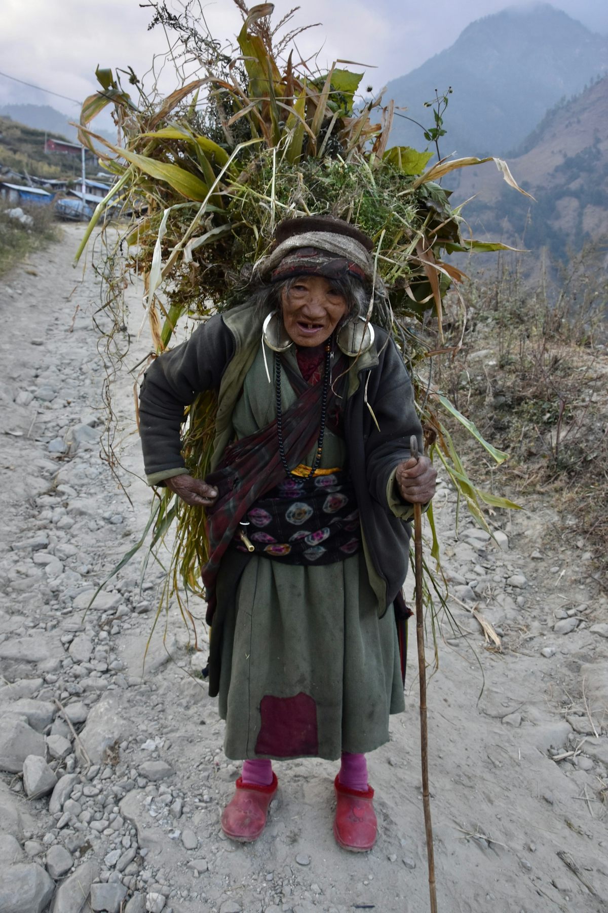 Mujer Tamang transportando restos de cultivos.JPG